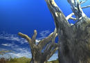15_outback_001.jpg