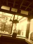 100205_1420~01.jpg