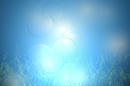 b6d19d64.JPG