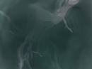 7c78bd01.jpg