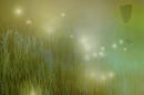 50cb18f4.JPG
