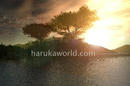 sunset_001.jpg