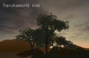sunset.003jpg_001.jpg