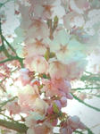 1102_001.jpg