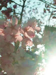 110_001.jpg