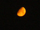 red.moon.jpg