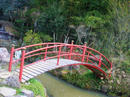 hanamiyama.013_001.JPG