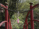 hanamiyama.022_001.JPG