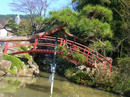 hanamiyama.024_001.JPG