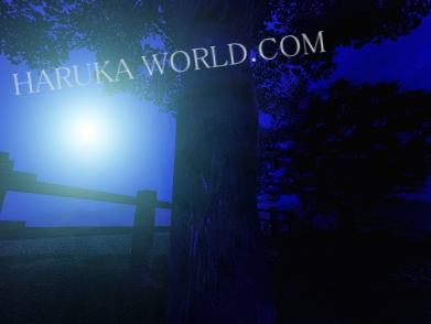 countrytrail_001.jpg