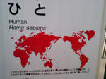 human