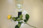 IMG_6453.jpg