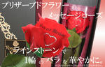 messagerose-preserved-red.jpg
