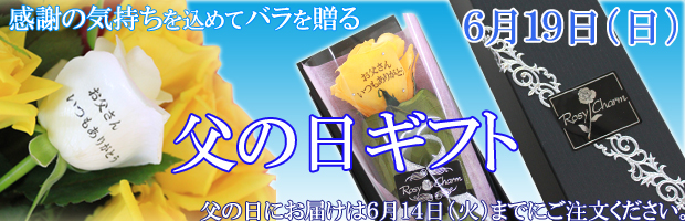 父の日　バラの贈り物