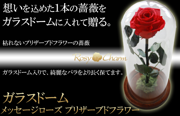 美女と野獣 ガラスドーム