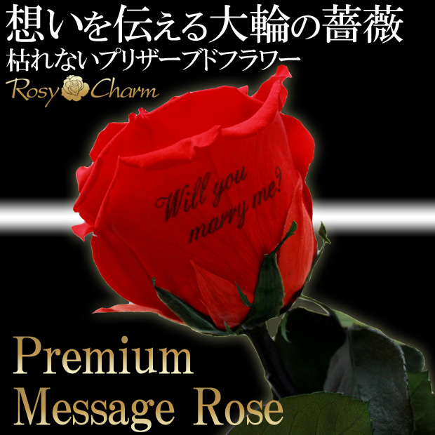 メッセージ入り大輪の薔薇