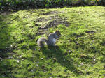 IMG_5836.jpg