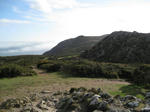 IMG_5883.jpg