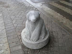 IMG_6401.jpg