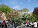 IMG_6896.jpg
