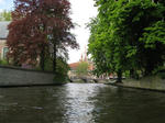 IMG_6937.jpg