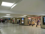 IMG_6958.jpg