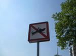 IMG_6969.jpg