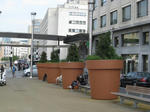 IMG_7062.jpg