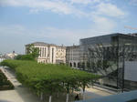 IMG_7069.jpg