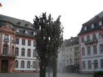 IMG_7131.jpg