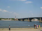 IMG_7144.jpg