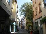 IMG_7169.jpg