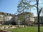 IMG_7185.jpg