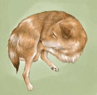 It relaxes with withered grass