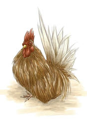 Animal that loses memory when advancing three steps