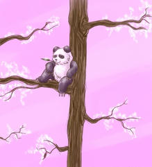 Spring scenery panda