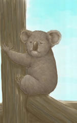 It is assumed koala bear