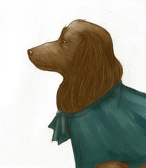 Lady dog