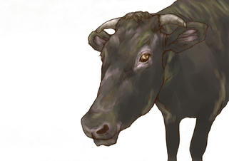 It is a living thing that shoulders the fate that becomes meat