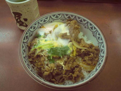 たつやの開化丼