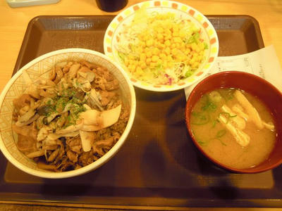 すき家　3種のきのこ牛丼+サラダセット