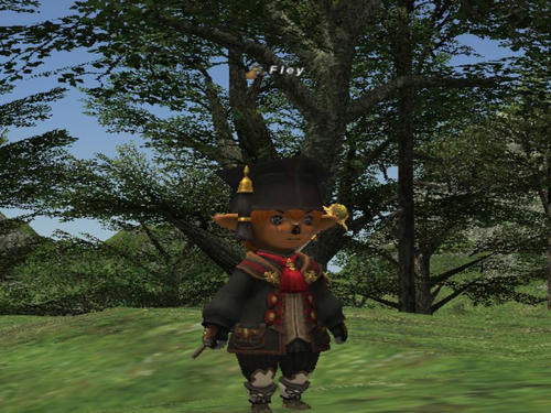 GW-20081214-002604.jpg