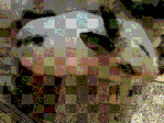 IMG_0053.GIF