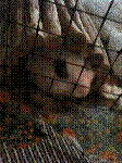6067eb1c.GIF