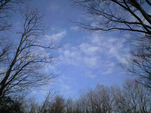 0c273362.JPG