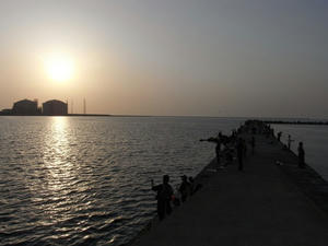 fc8a0293.jpg