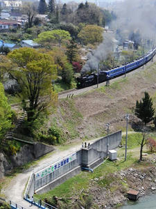 4ee351a6.jpg