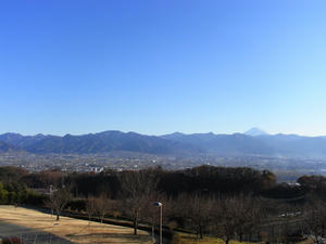 716a23e7.jpg