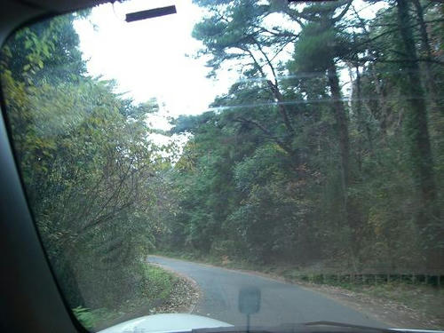 10040121545.jpg