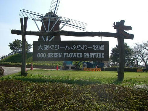 10035063018.jpg